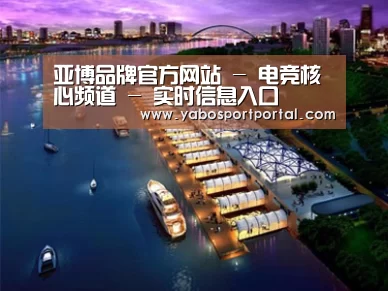 案例展示八