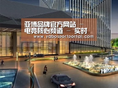 案例展示二