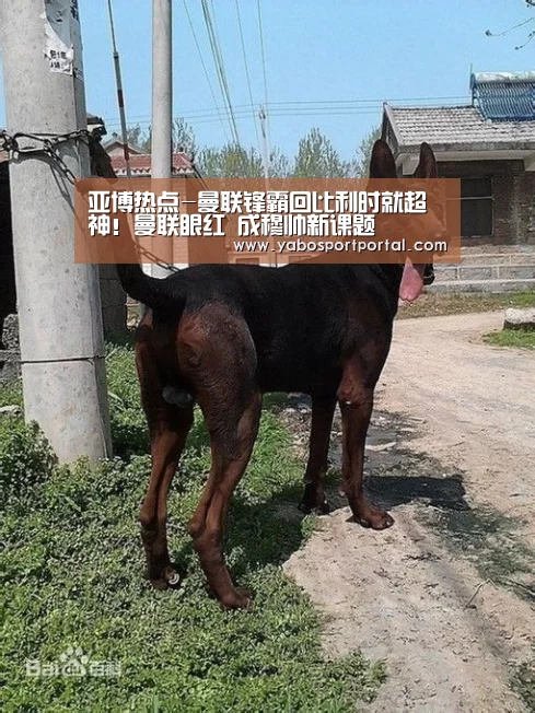 亚博直播