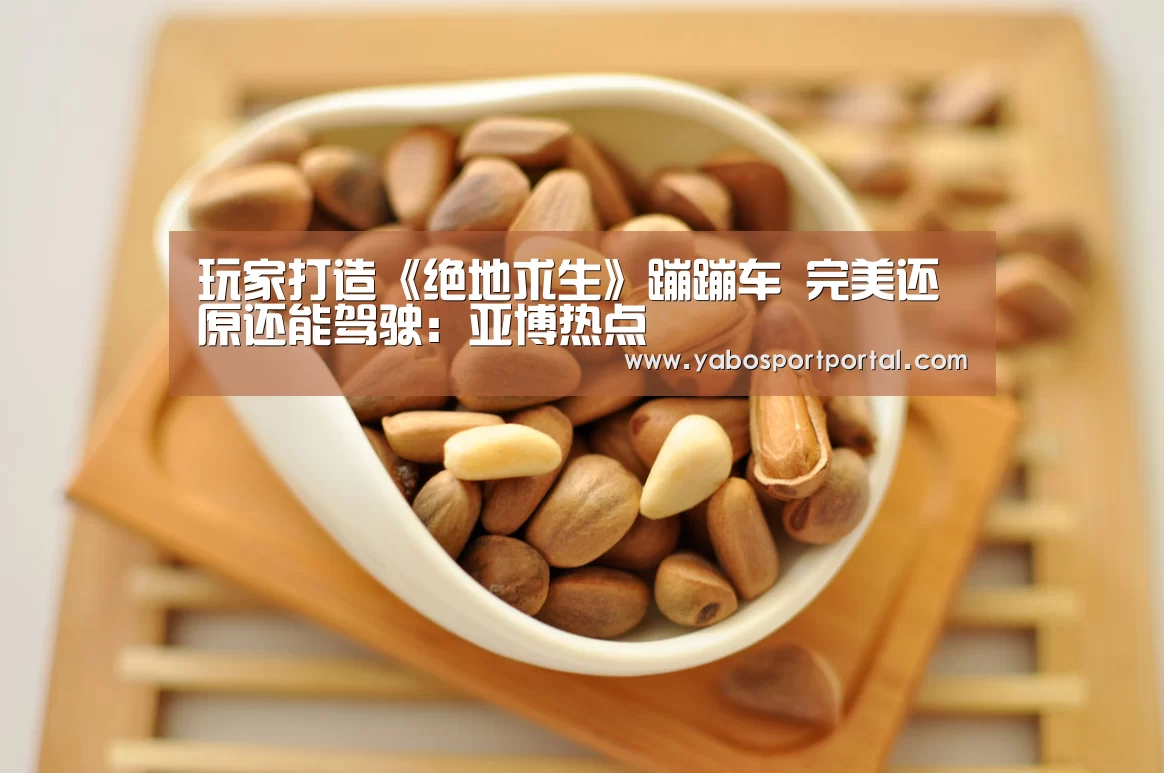 玩家打造《绝地求生》蹦蹦车 完美还原还能驾驶:亚博热点(图1) 亚博导航