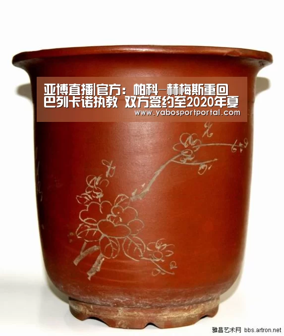 亚博直播|官方:帕科-赫梅斯重回巴列卡诺执教 双方签约至2020年夏天(图2) 亚博热点